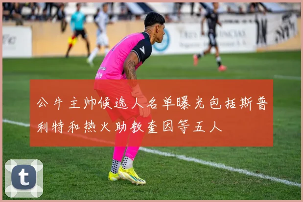 公牛主帅候选人名单曝光包括斯普利特和热火助教奎因等五人