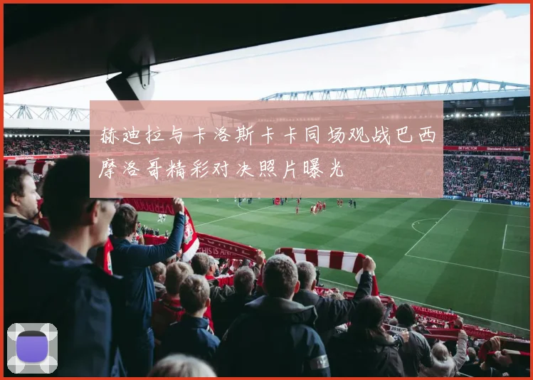赫迪拉与卡洛斯卡卡同场观战巴西摩洛哥精彩对决照片曝光