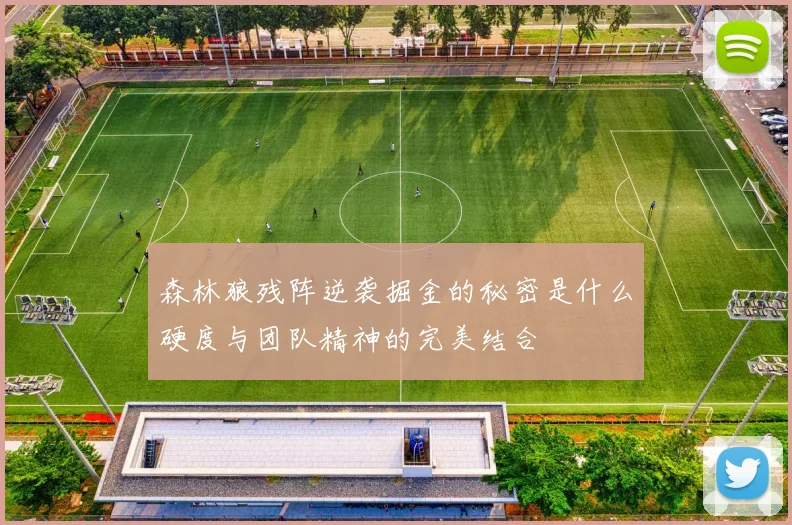 森林狼残阵逆袭掘金的秘密是什么硬度与团队精神的完美结合